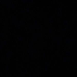 Meet your Posher, Bailey